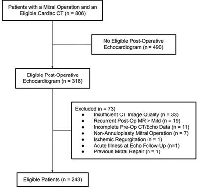 Predicting postoperative systolic dysfunction in mitral regurgitation: CT vs. echocardiography